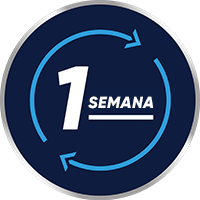 1 semana
